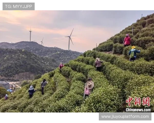 从茶园到白茶园:繁昌站赛道穿越农业景观,体育与乡村振兴相结合 从茶园到白茶园:繁昌站赛道穿越农业景观,体育与乡村振兴相结合